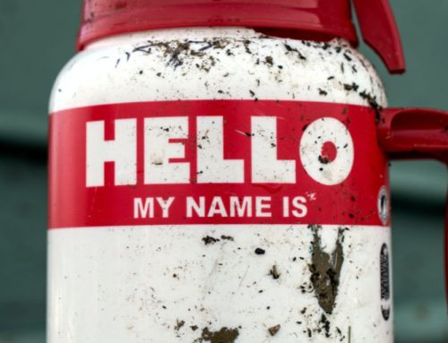 Branding for Success: How St. Louis Companies are Using Strong Brand Names to Stand Out in a Competitive Marketplace